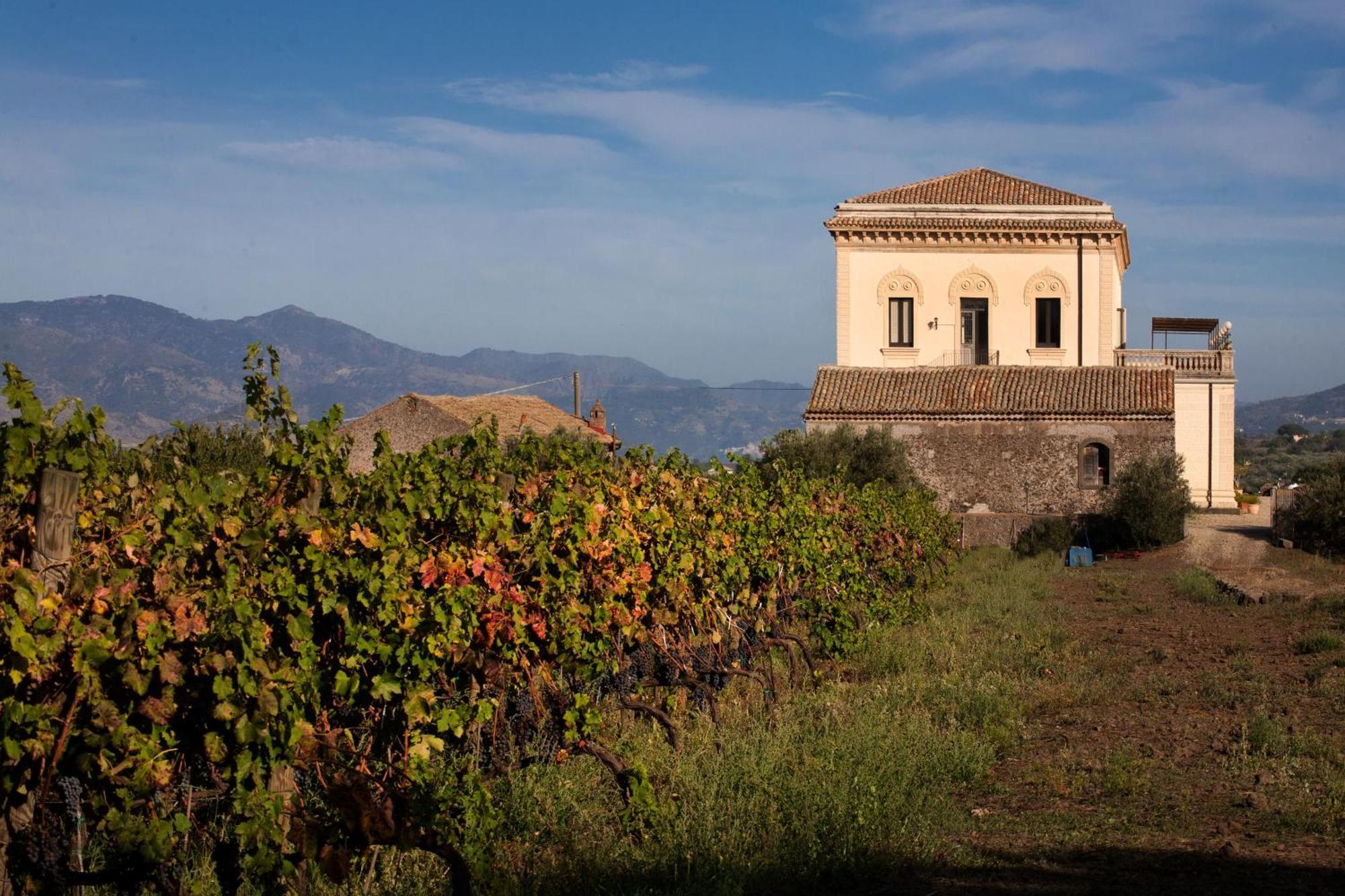 Casa rural Feudo Vagliasindi -wine Experience- *