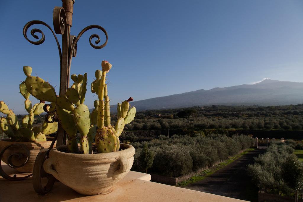 Feudo Vagliasindi -wine Experience-