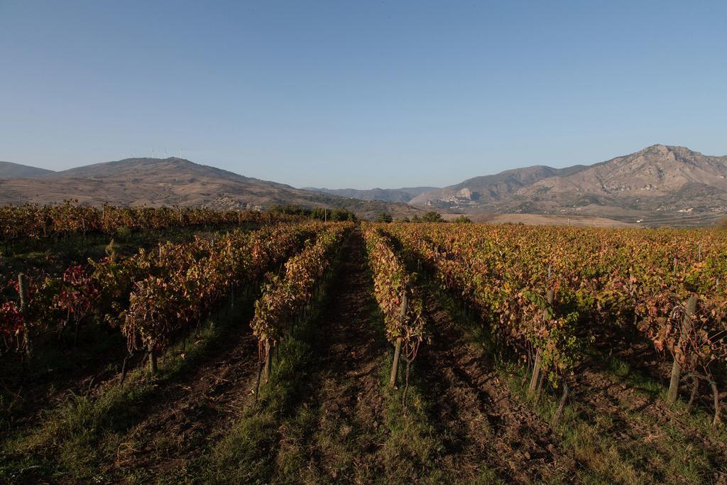 Feudo Vagliasindi -wine Experience- Randazzo