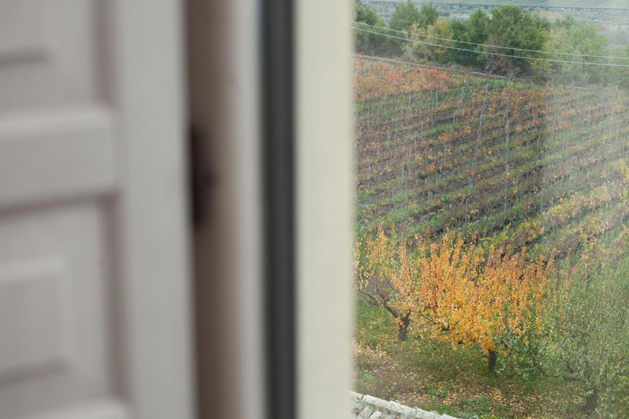 Feudo Vagliasindi -wine Experience- *