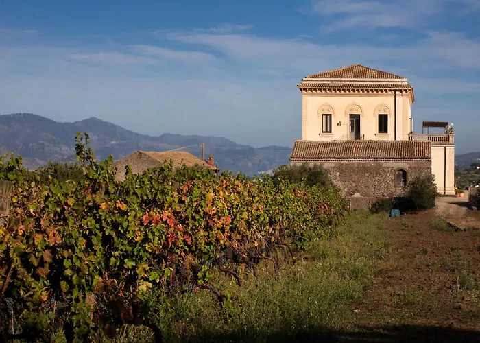 Feudo Vagliasindi -Wine Experience-