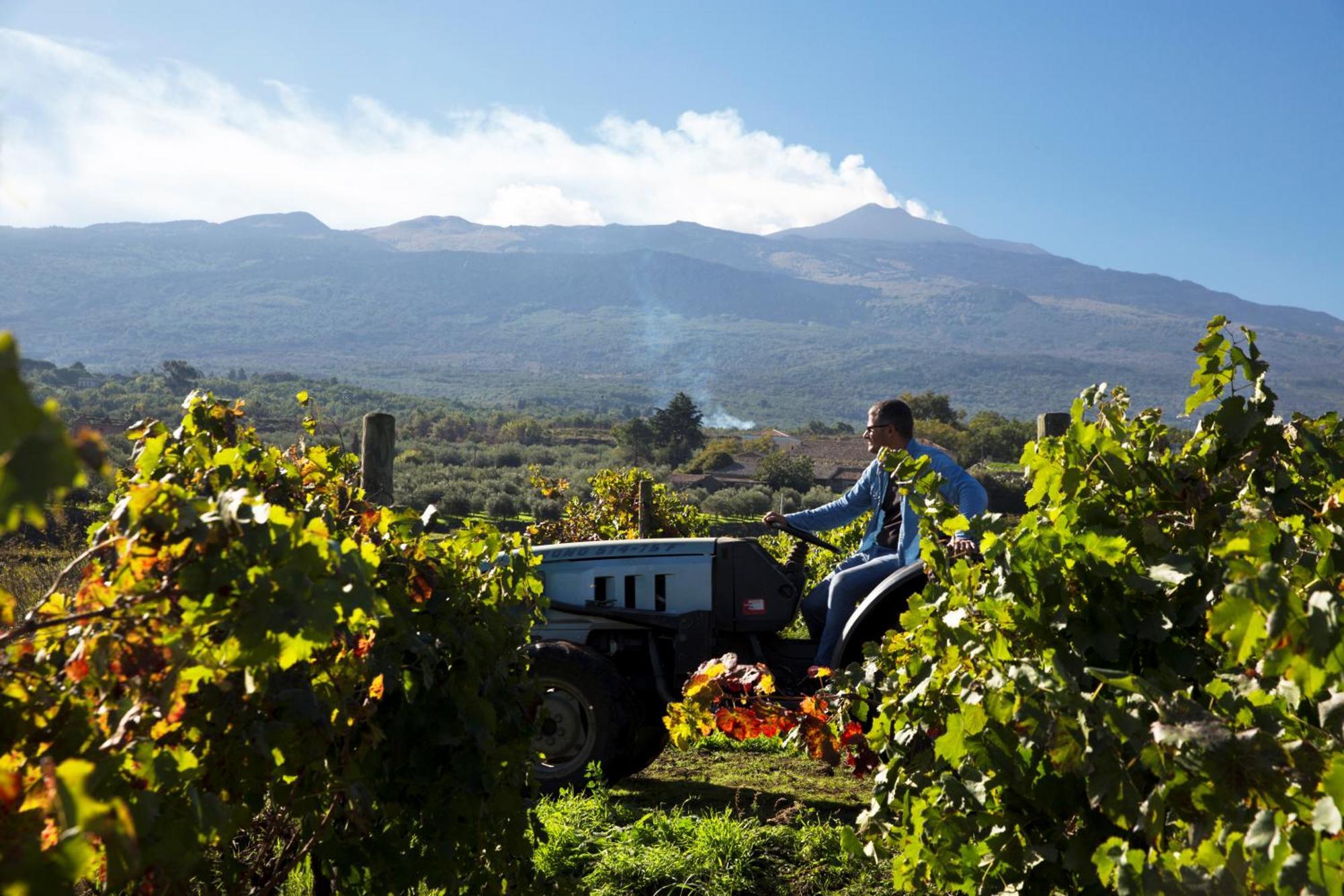 Feudo Vagliasindi -wine Experience- Randazzo