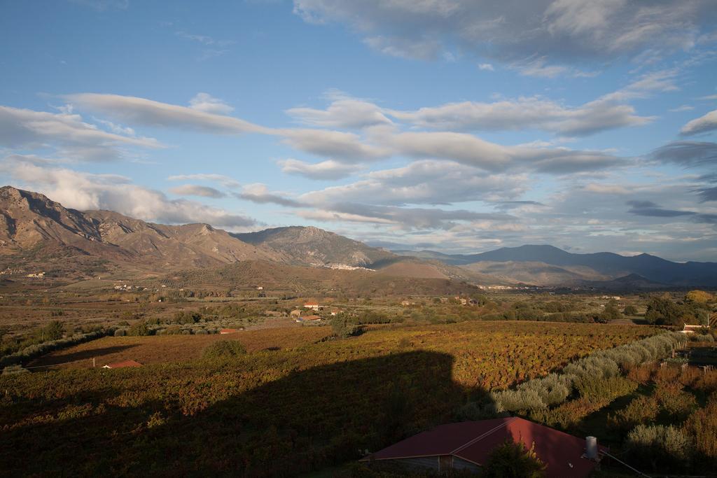 Séjour à la campagne Feudo Vagliasindi -wine Experience-