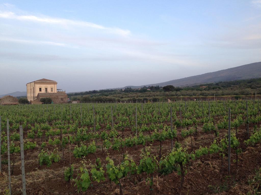 Feudo Vagliasindi -wine Experience- Séjour à la campagne